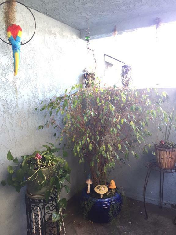Pacific Beach Butterfly Suite San Diego Buitenkant foto
