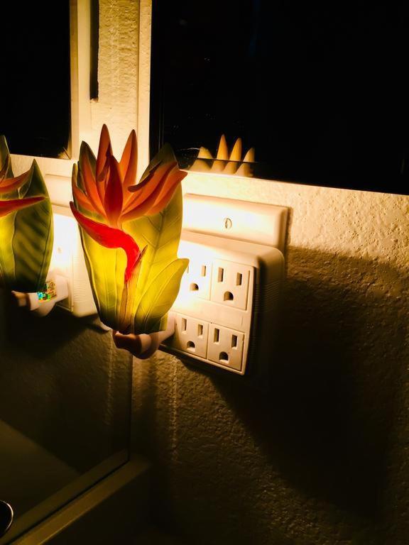 Pacific Beach Butterfly Suite San Diego Buitenkant foto